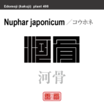 河骨　コウホネ　花や植物の名前（漢字表記）を角字で表現してみました。該当する植物についても簡単に解説しています。