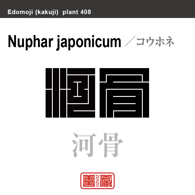河骨　コウホネ　花や植物の名前（漢字表記）を角字で表現してみました。該当する植物についても簡単に解説しています。