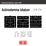 合器蔓　ゴキヅル　花や植物の名前（漢字表記）を角字で表現してみました。該当する植物についても簡単に解説しています。